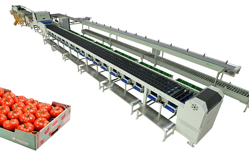 images/1710922450631tomato optical grading machine.jpg